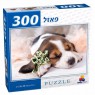 פאזל כלב ישן  300 חלקים - גודל 38*26