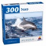 פאזל דולפין משחק- 300 חלקים