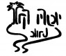 דקל וילנאי 