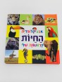 ספר אנציקלופדית החיות הראשונה שלי