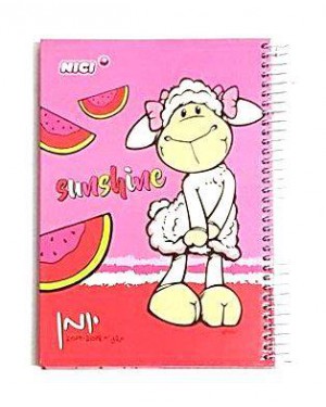 יומן סליל -ניקי