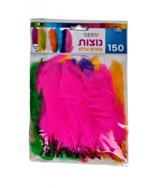 נוצות צבעים עזים 150 יח